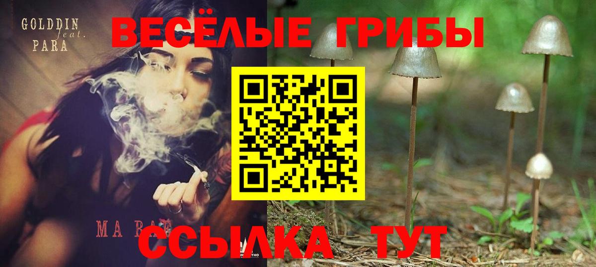 наркотики  Псилоцибиновые грибы мицелий  Вход с VPN  Тобольск 